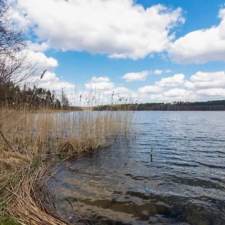 Big House With Sauna, 25-metre From The בית נופש *
