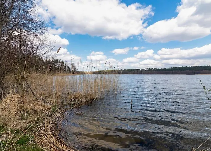 Big House With Sauna, 25-metre From The Дом отдыха *